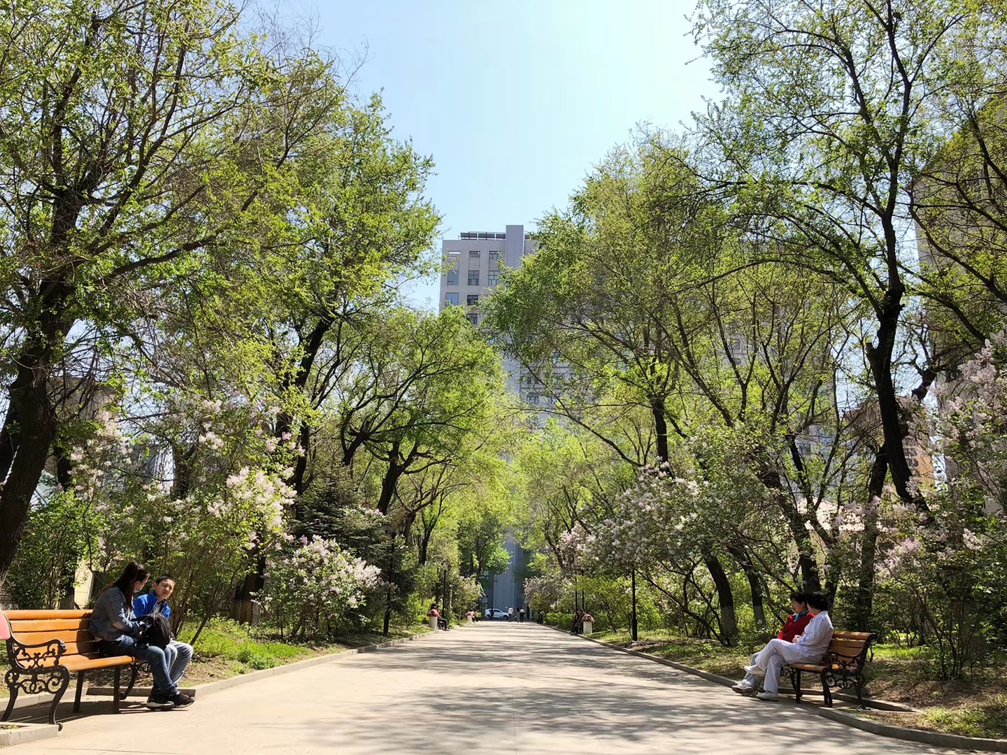 環(huán)境展示